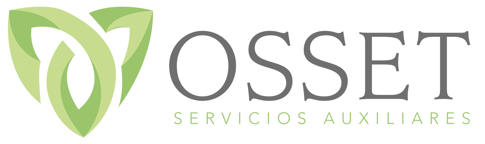 Servicios Auxiliares con Personas con Diversidad Funcional